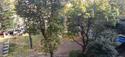  id.5035977