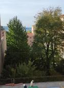  id.5035976