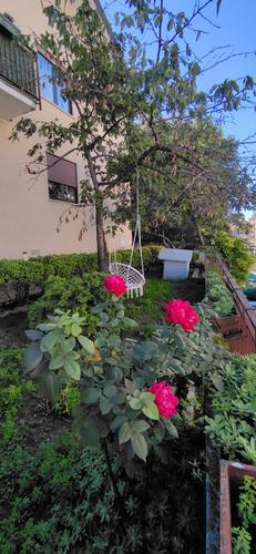  id.5091368
