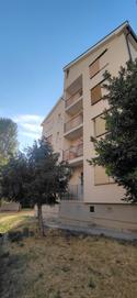  id.5210384
