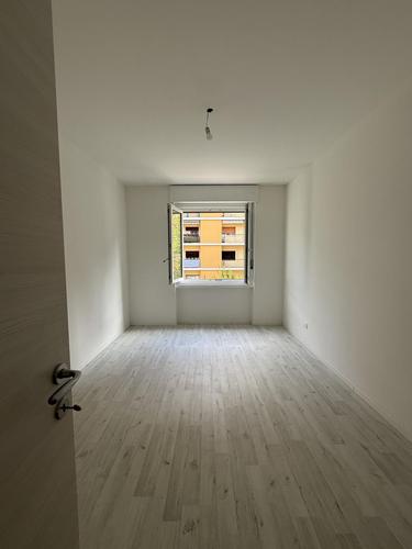  id.5257648